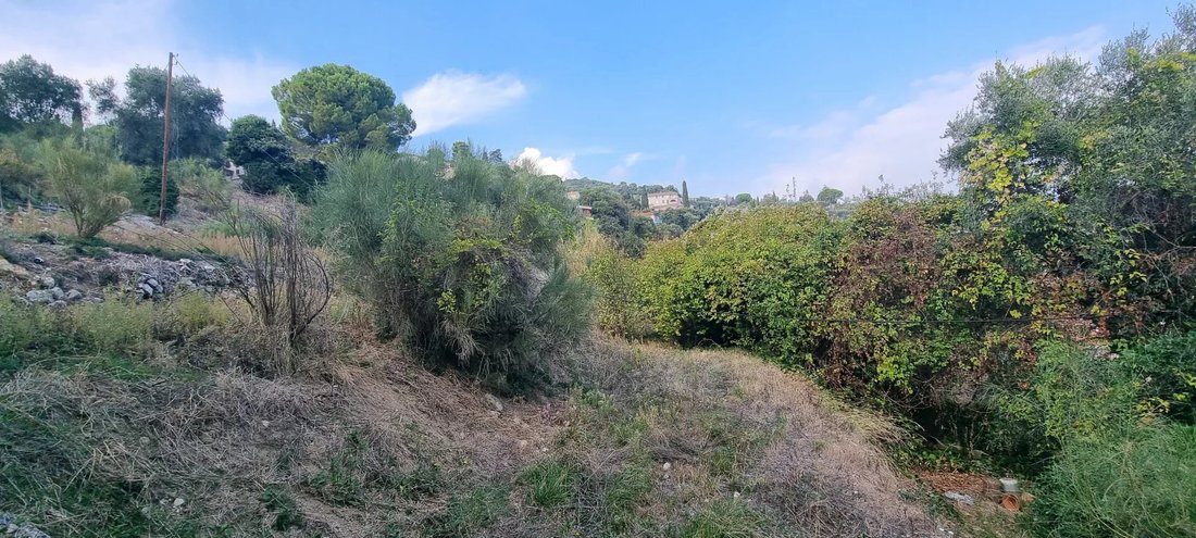 Land in Nice, Provence-Alpes-Côte d'Azur, France 2 - 17314635