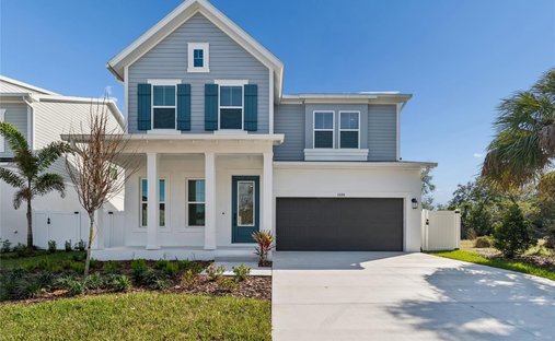 House in Tampa, Florida, United States 1