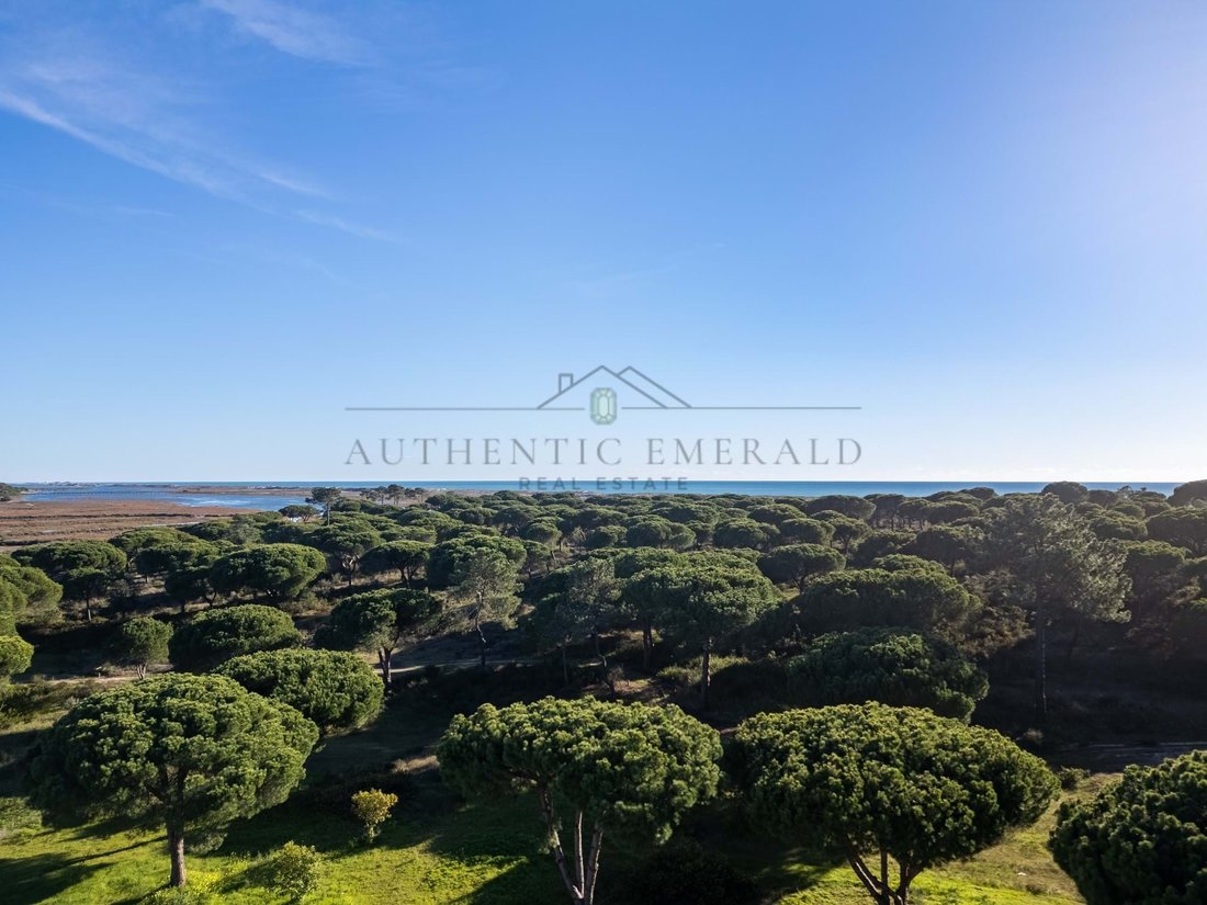 Villa in Almancil, Algarve, Portugal 4 - 17323890