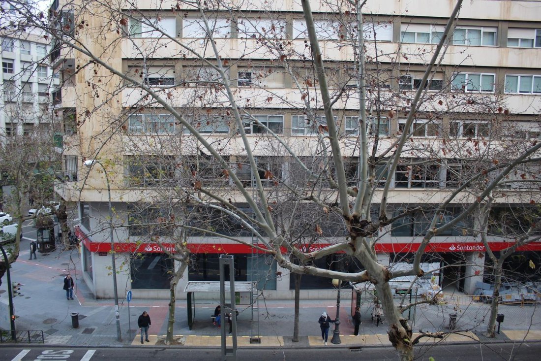 Apartment in Distrito Centro, Cordoba, Spain 2 - 17323861