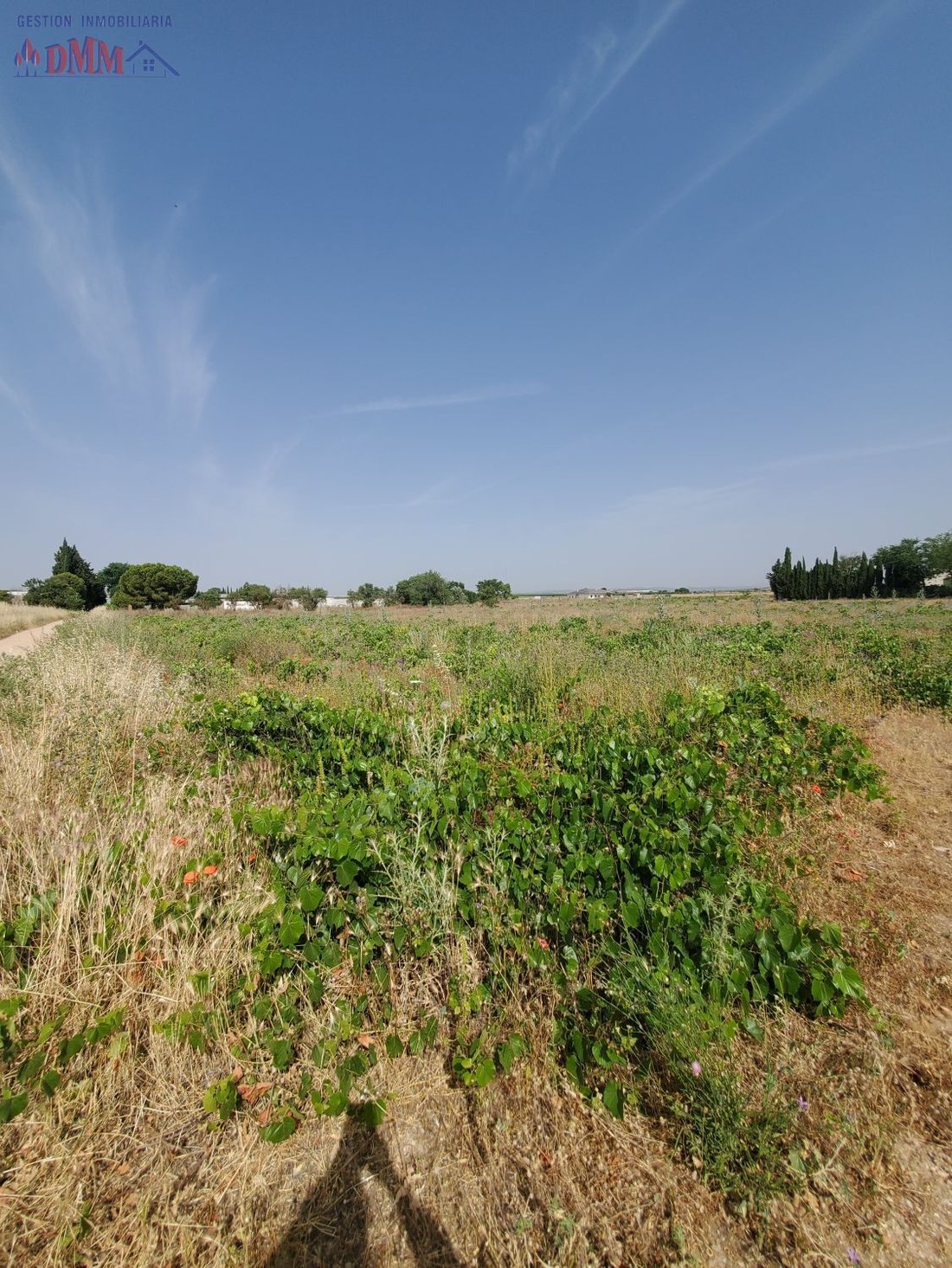 Land in Carrion de Calatrava, Castile-La Mancha, Spain 3 - 17323820