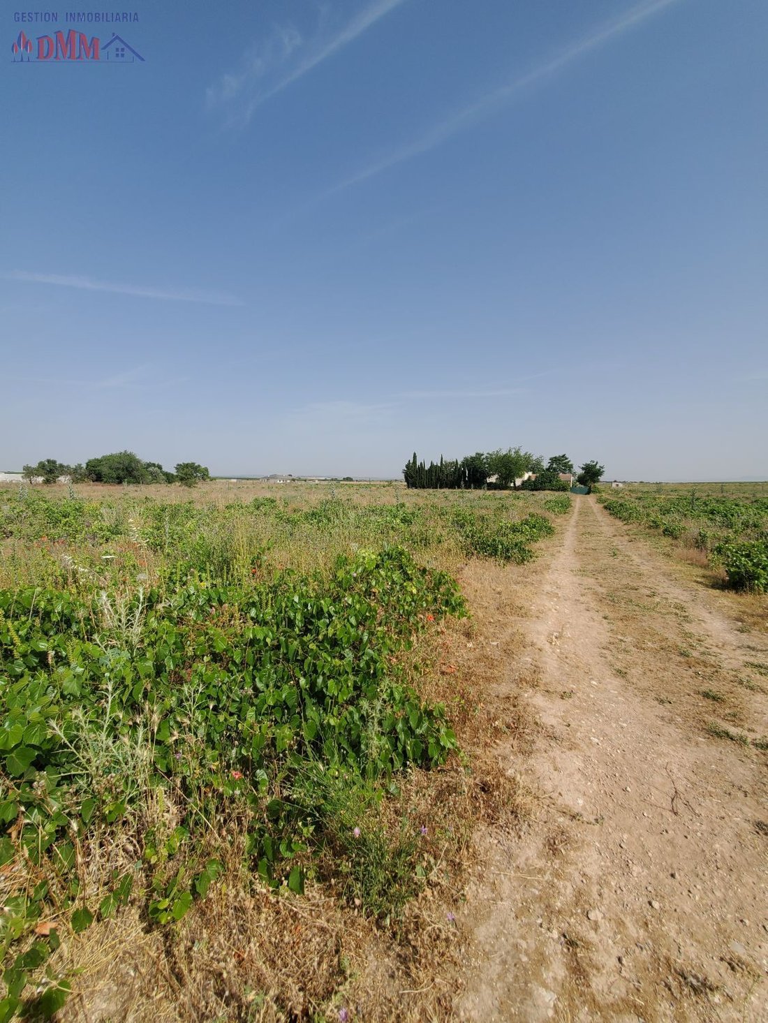 Land in Carrion de Calatrava, Castile-La Mancha, Spain 1 - 17323820