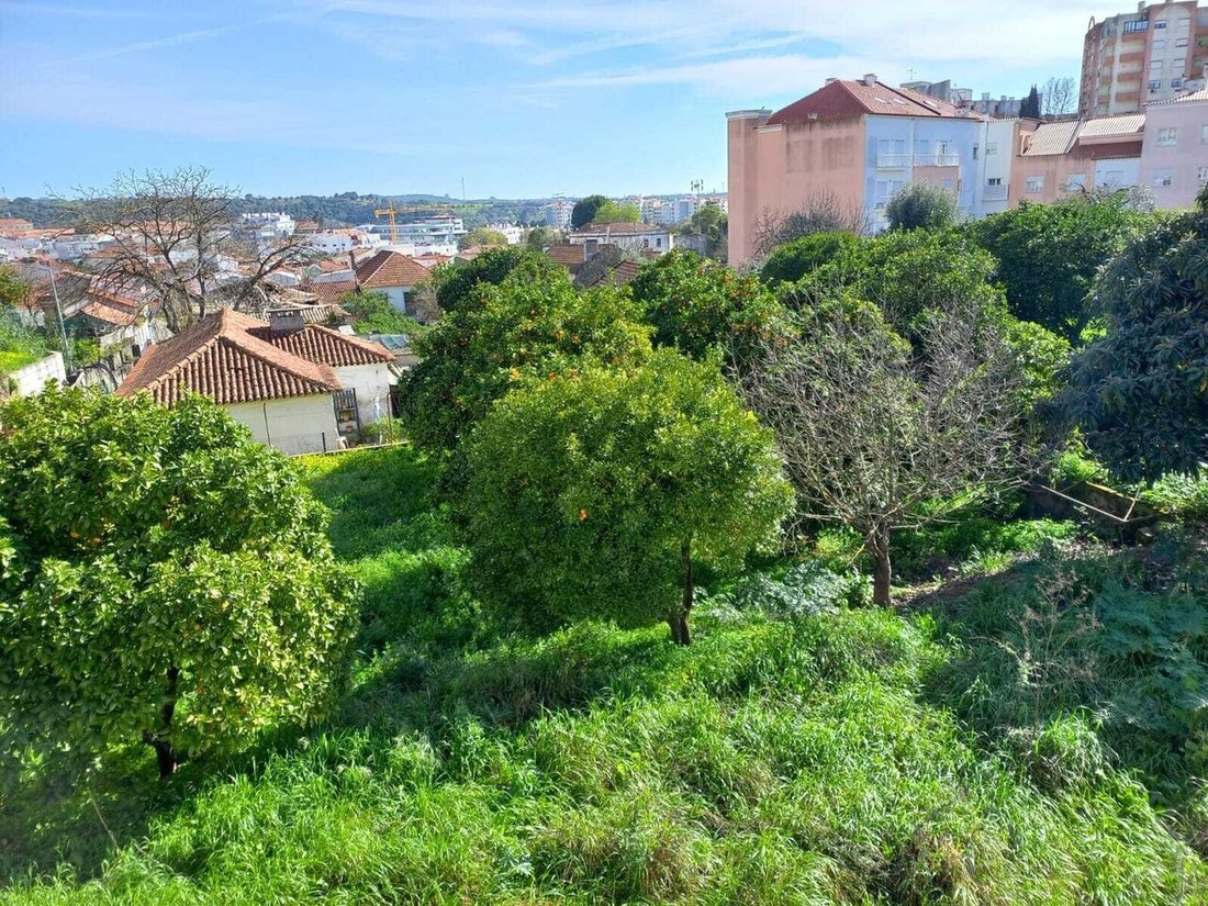 Land in Torres Novas, Santarem District, Portugal 4 - 17329767