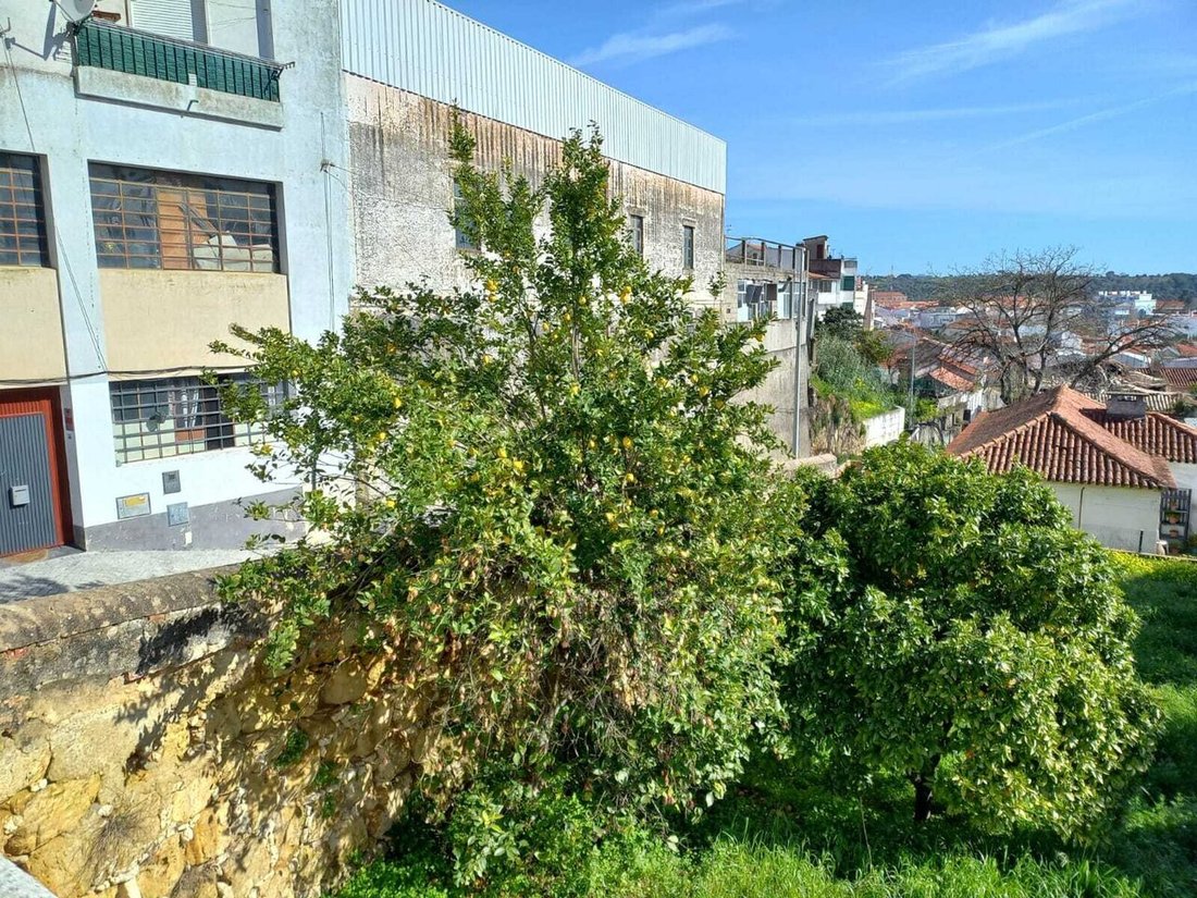 Land in Torres Novas, Santarem District, Portugal 3 - 17329767