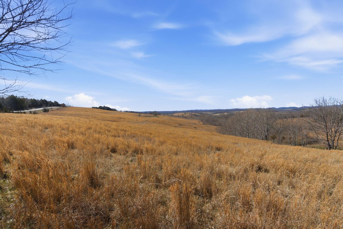 Land in Thornfield, Missouri, United States 2 - 17326506