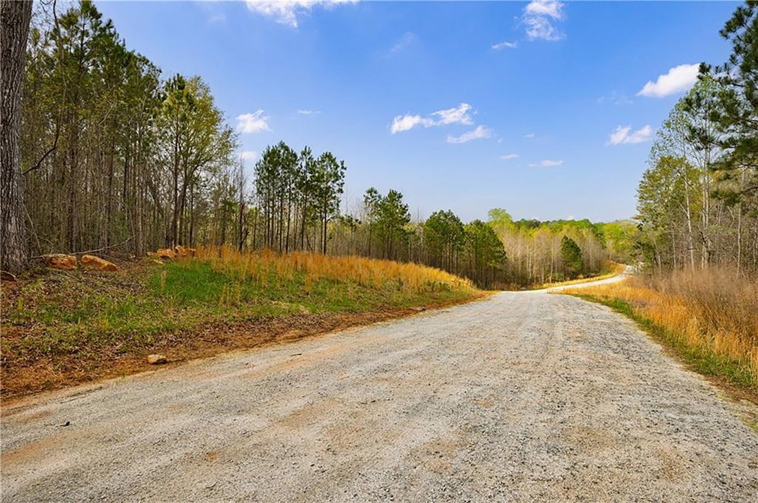 Land in Chattahoochee Hills, Georgia, United States 4 - 17328514