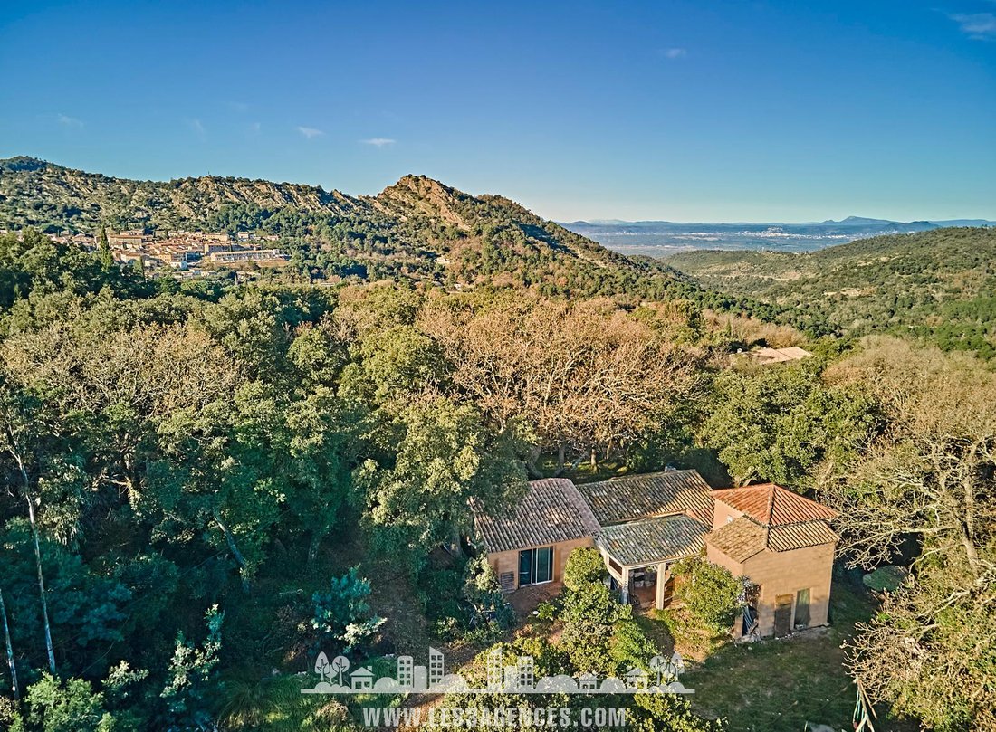 House in La Garde-Freinet, Provence-Alpes-Côte d'Azur, France 2 - 17324945