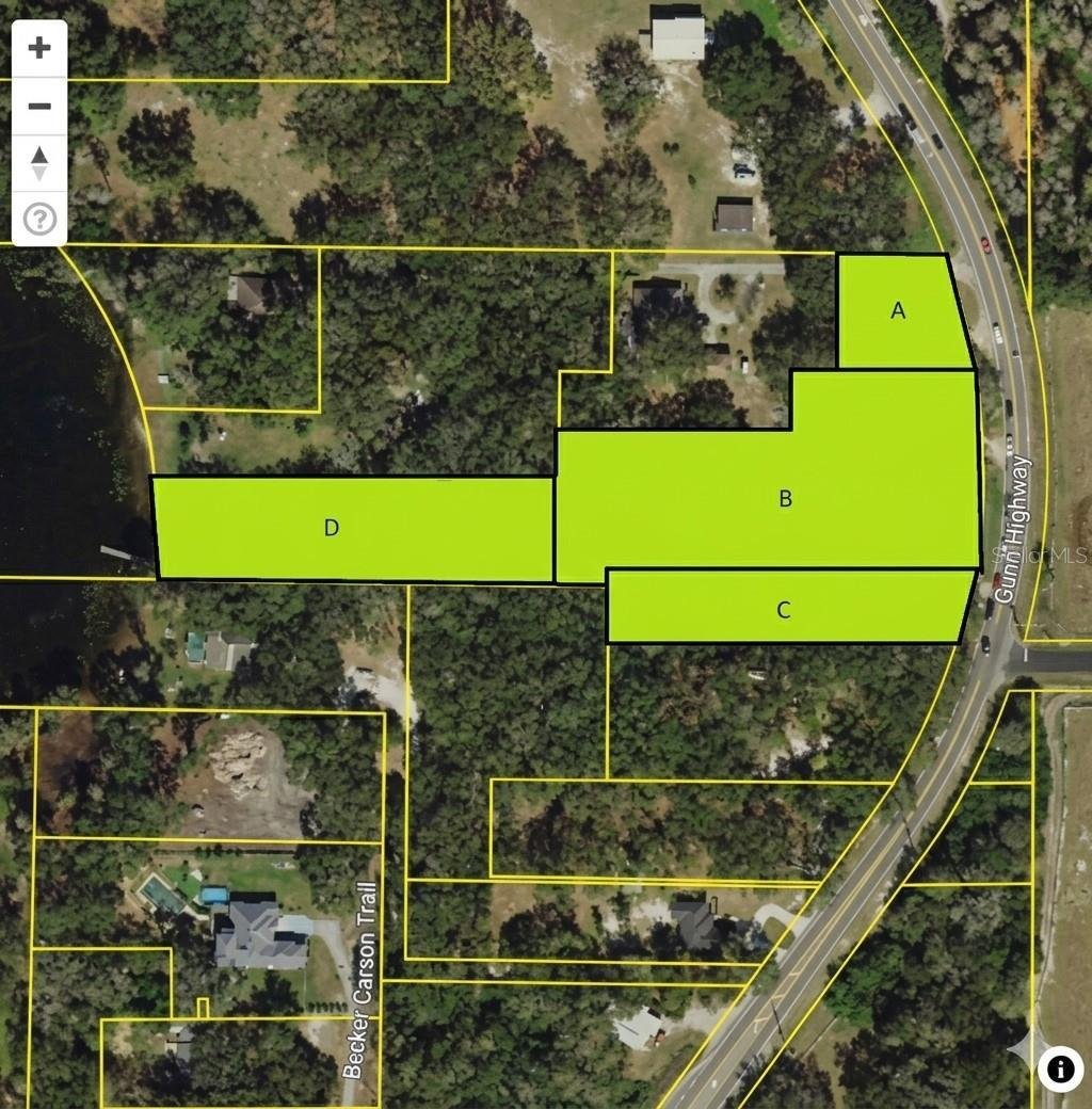 House in Odessa, Florida, United States 1 - 17248980
