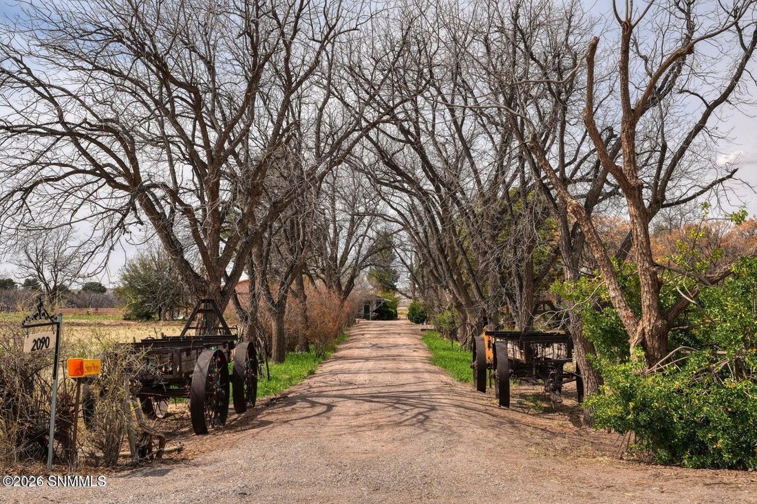House in Mesilla, New Mexico, United States 1 - 17327606