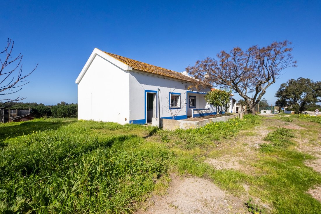 Farm Ranch in S.Teotónio, Beja District, Portugal 1 - 17328505