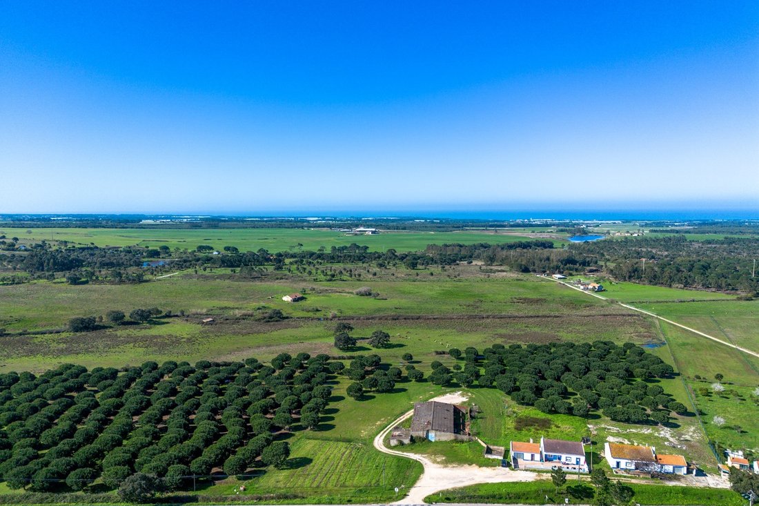 Farm Ranch in S.Teotónio, Beja District, Portugal 4 - 17328505