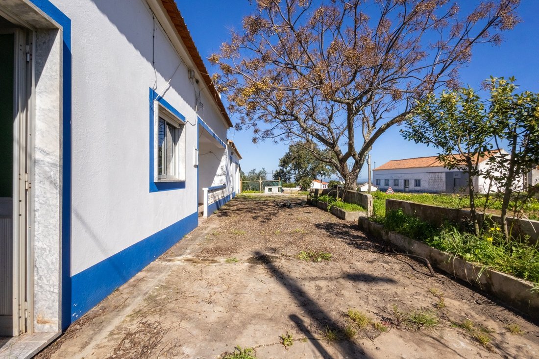 Farm Ranch in S.Teotónio, Beja District, Portugal 3 - 17328505