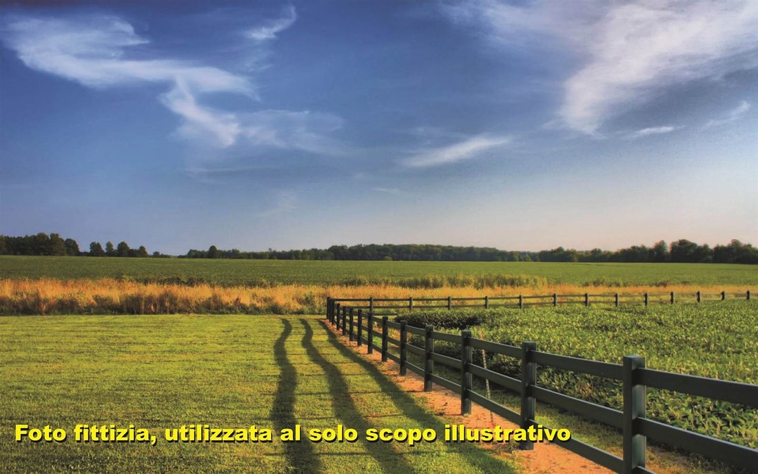 Land in Paperino - San Giorgio a Colonica, Prato, Italy 4 - 17327678