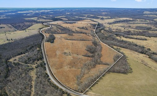 Land in Thornfield, Missouri, United States 1