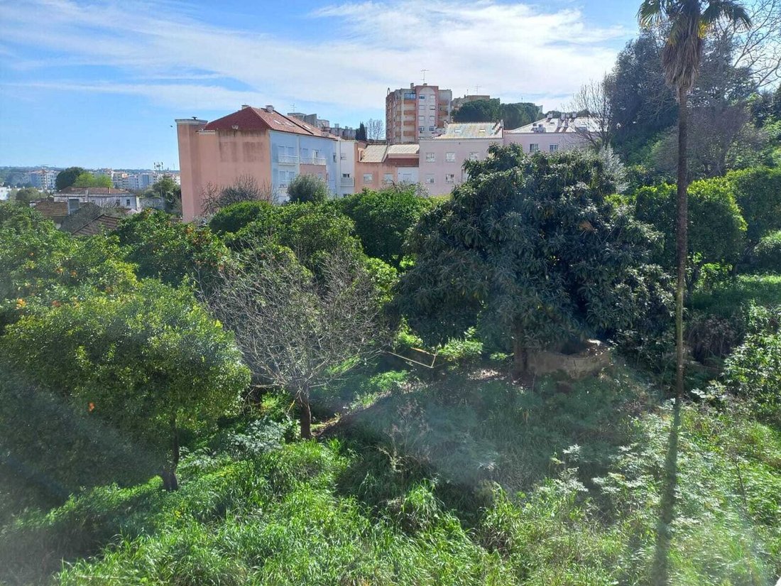 Land in Torres Novas, Santarem District, Portugal 5 - 17329767
