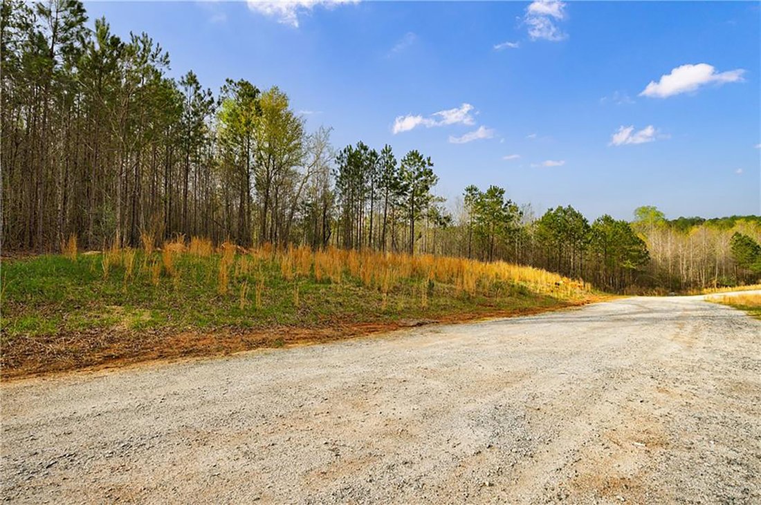 Land in Chattahoochee Hills, Georgia, United States 5 - 17328514