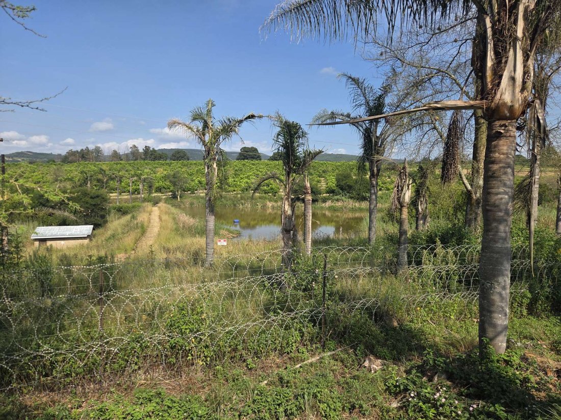 Farm Ranch in Johannesburg, Gauteng, South Africa 2 - 17324716