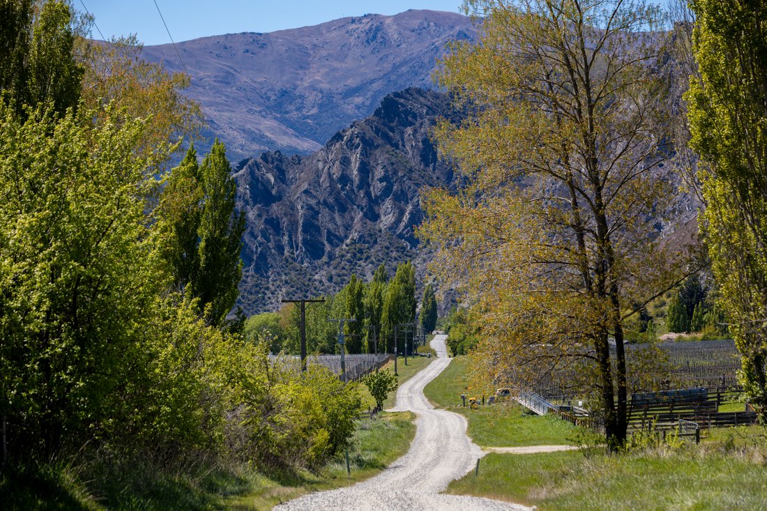Land in Queenstown, Otago, New Zealand 5 - 17328323