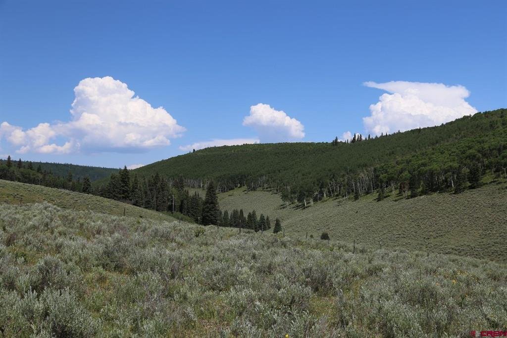 Land in Powderhorn, Colorado, United States 5 - 17325343
