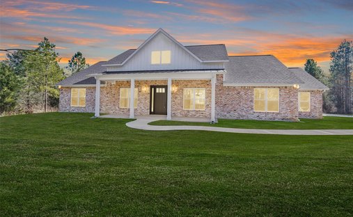 House in Willis, Texas, United States 1