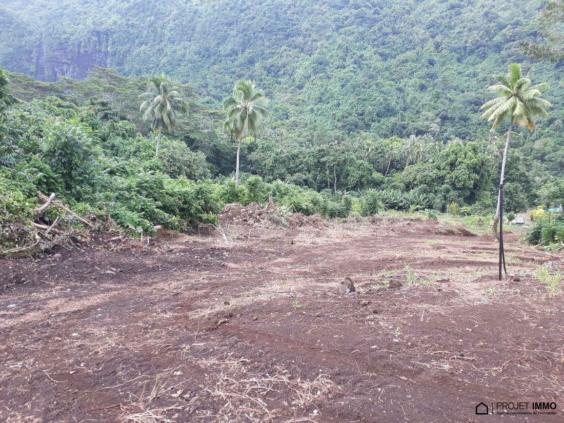 Land in Moorea-Maiao, Windward Islands, French Polynesia 2 - 17328678