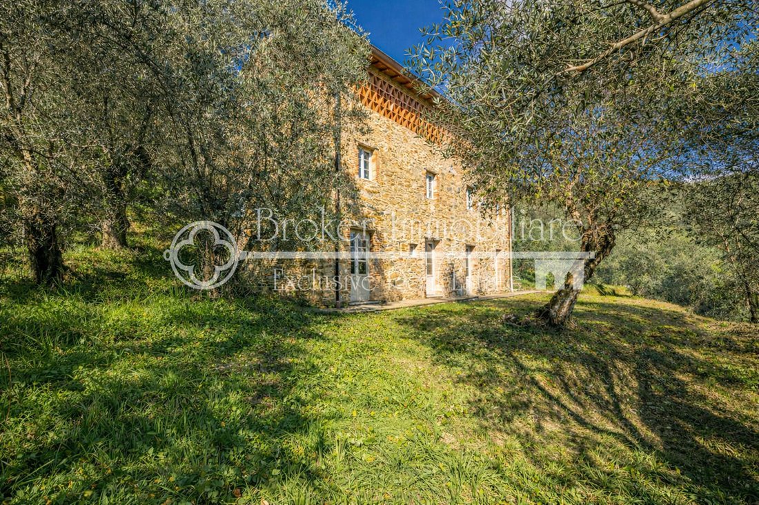 Villa in Lido di Camaiore, Camaiore, Tuscany 1 - 17329616