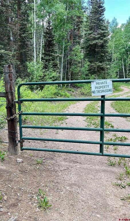 Land in Powderhorn, Colorado, United States 3 - 17325343