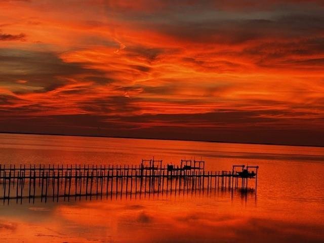 House in Saint George Island, Florida, United States 4 - 17325903