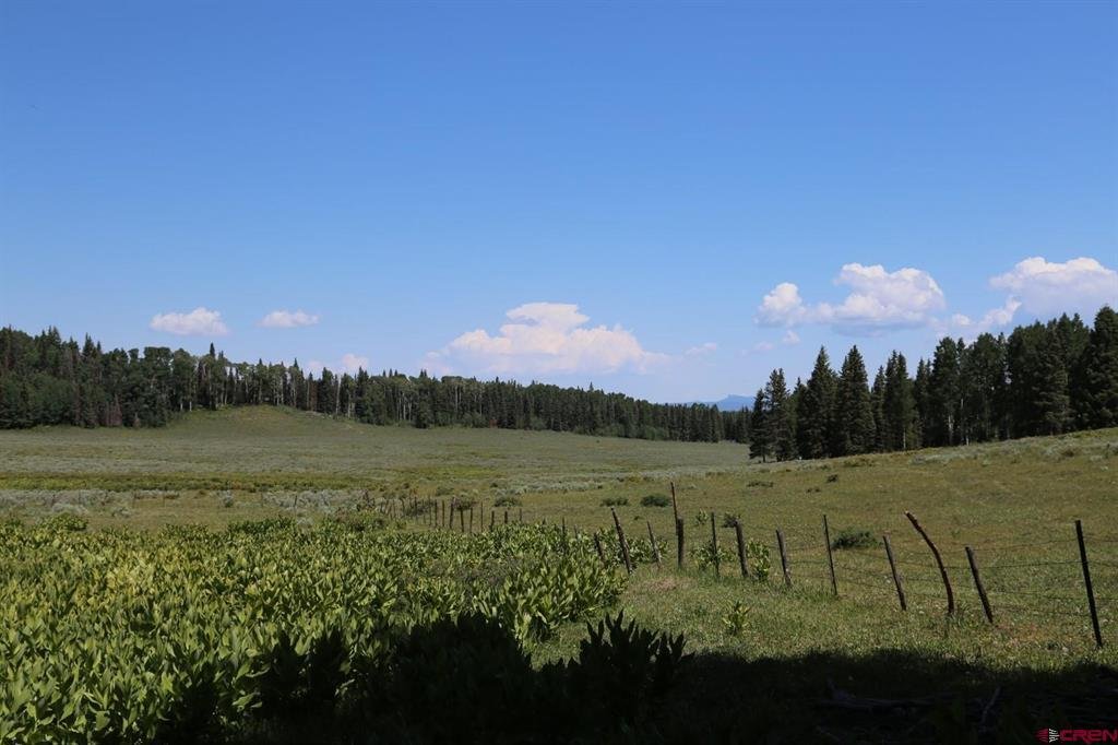Land in Powderhorn, Colorado, United States 4 - 17325343