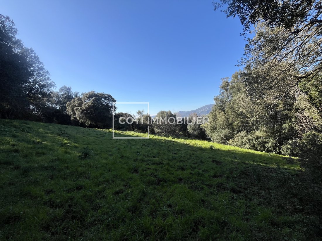 House in Viggianello, Corsica, France 4 - 17327023