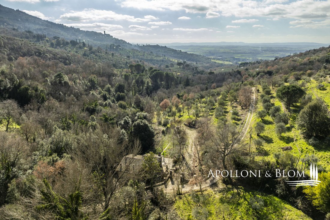 Country House in Cegliolo - Torreone - Portole, Cortona, Tuscany 5 - 17324538