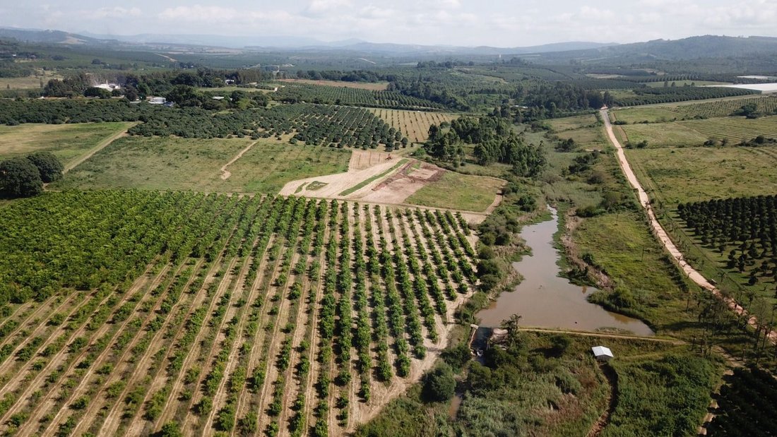 Farm Ranch in Johannesburg, Gauteng, South Africa 3 - 17324716