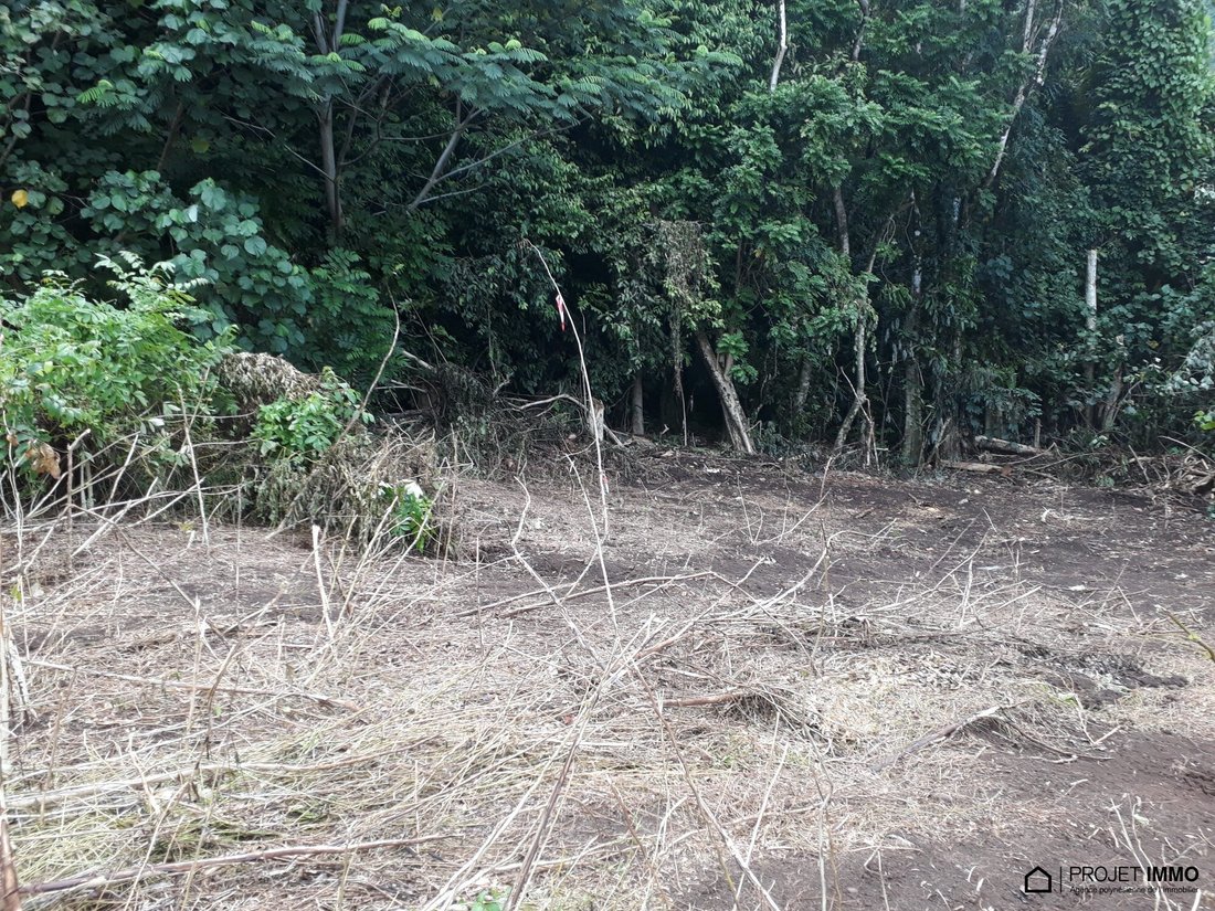 Land in Moorea-Maiao, Windward Islands, French Polynesia 5 - 17328678