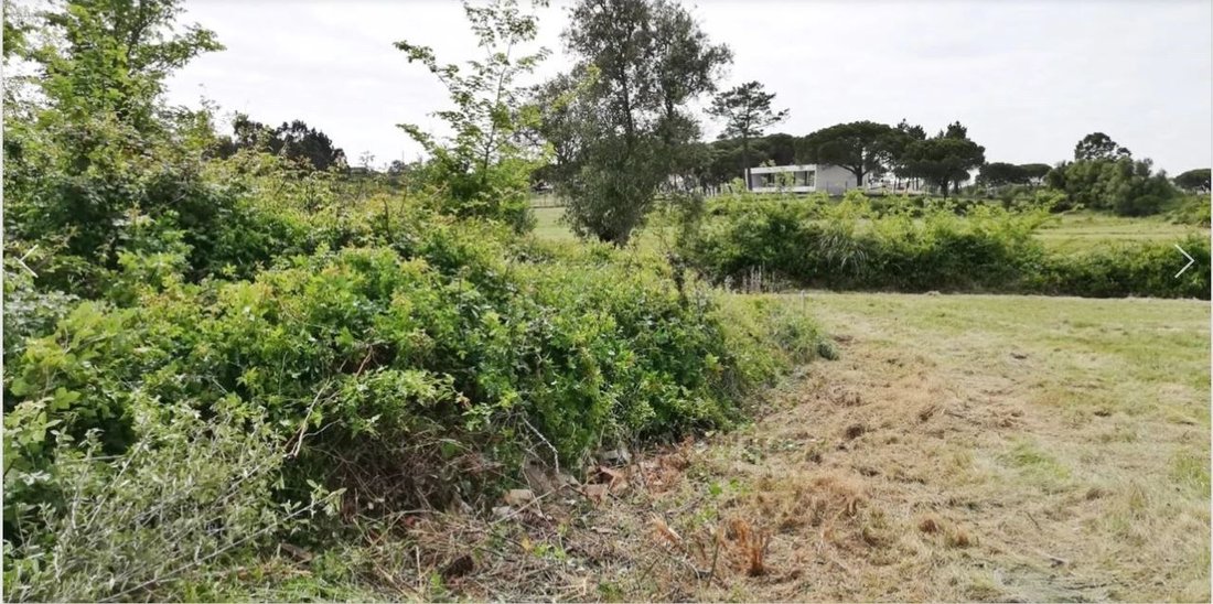 Land in Sintra, Lisbon, Portugal 5 - 17327812