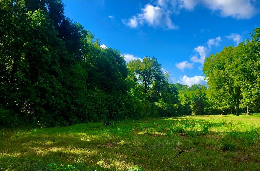 Farm Ranch in Cleveland, Texas, United States 2 - 17324762