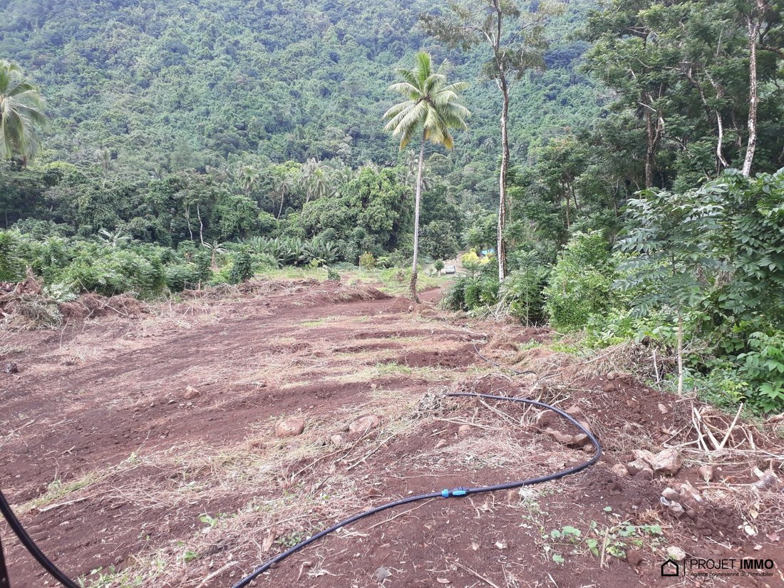 Land in Moorea-Maiao, Windward Islands, French Polynesia 4 - 17328678