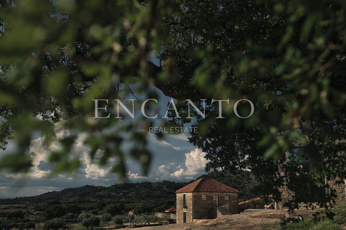 Finca in Monsanto e Idanha-a-Velha, Castelo Branco District, Portugal 4 - 17327903