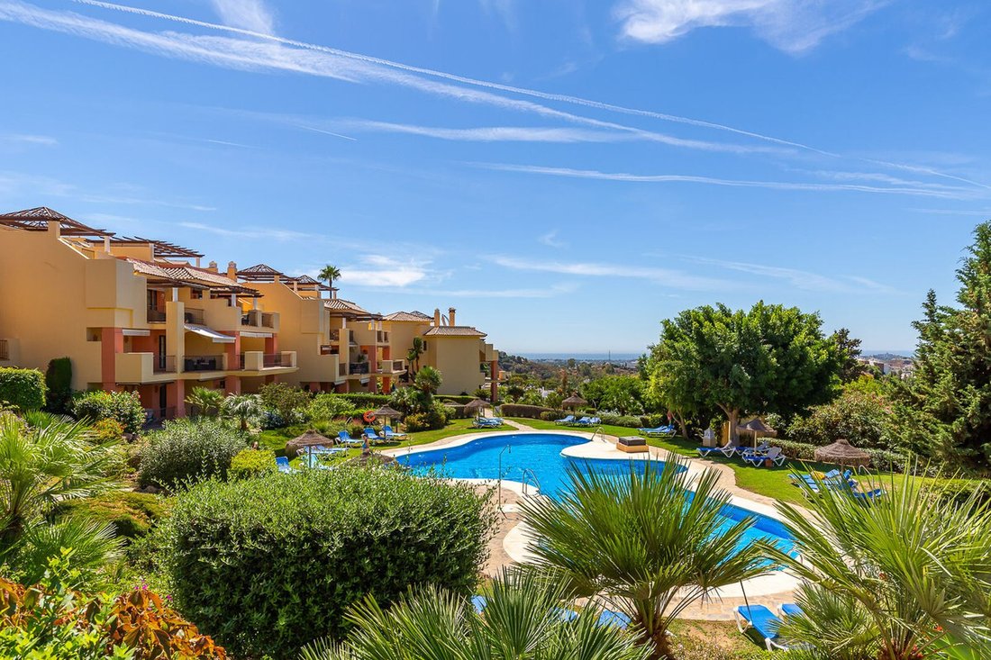 Apartment in Centro, Malaga, Spain 1 - 17025318