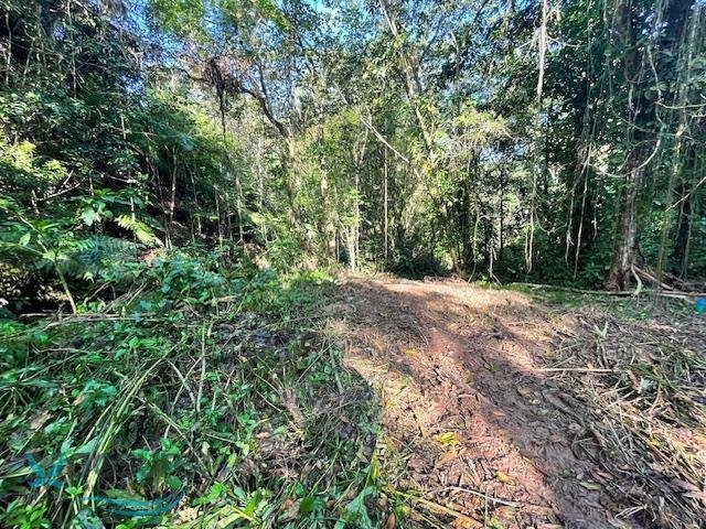Terreno a Lares, Lares, Porto Rico 5 - 17325001