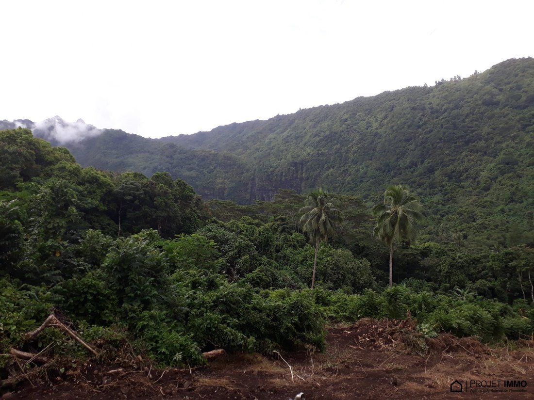 Land in Moorea-Maiao, Windward Islands, French Polynesia 3 - 17328678
