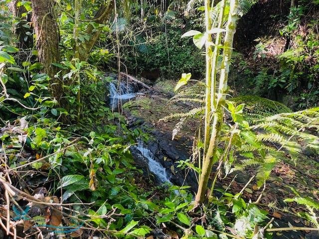 Terreno a Lares, Lares, Porto Rico 2 - 17325001