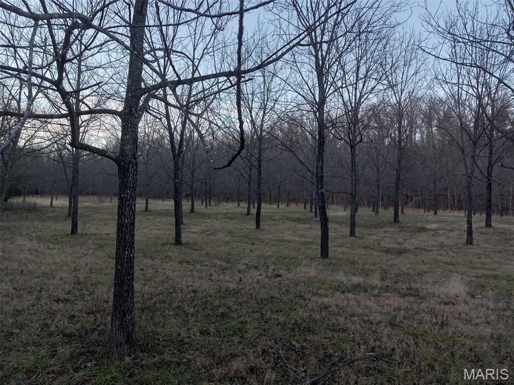 House in Summersville, Missouri, United States 2 - 17326371