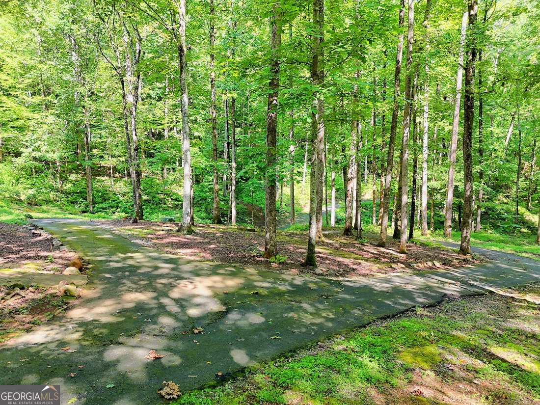 House in Clayton, Georgia, United States 5 - 17326998