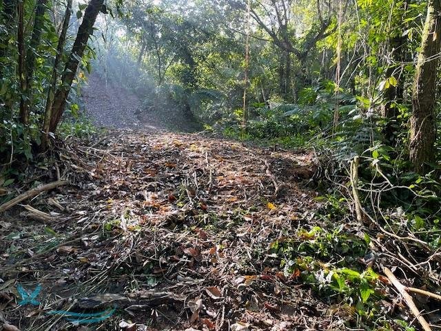 Terreno a Lares, Lares, Porto Rico 3 - 17325001