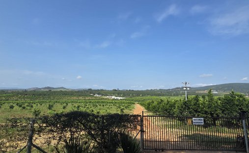 Farm Ranch in Johannesburg, Gauteng, South Africa 1