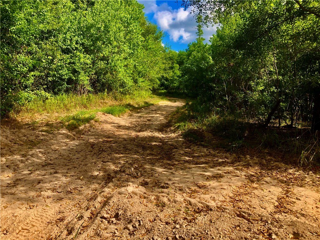 Farm Ranch in Cleveland, Texas, United States 4 - 17324762