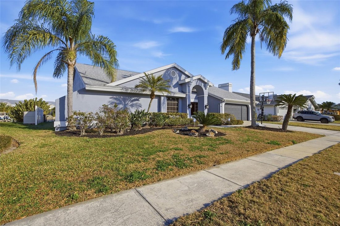 House in Tampa, Florida, United States 3 - 17324363