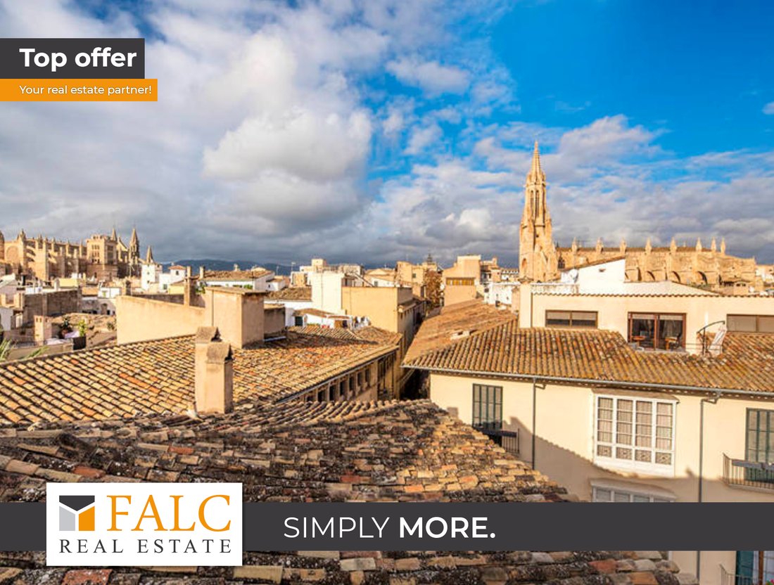 Apartment in Palma, Balearic Islands, Spain 1 - 17325275