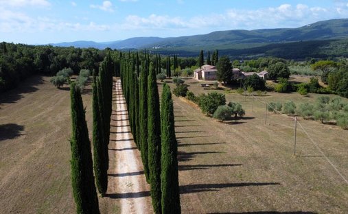 Azienda agricola a Siena, Toscana, Italia 1
