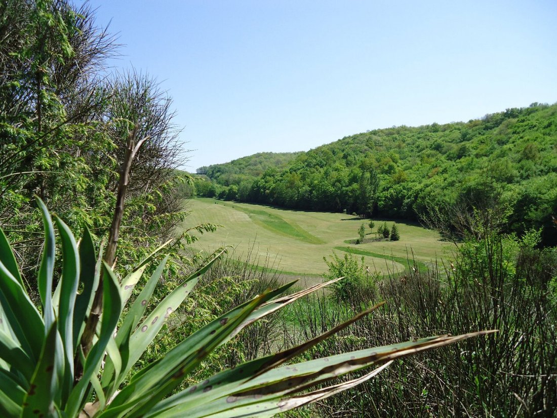 Estate in Masseube, Occitania, France 5 - 17326960